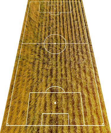 Football field conceptの写真素材