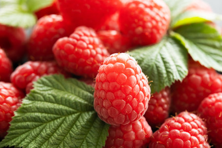 Fresh red raspberries