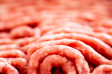 Raw ground meat fresh with protein closeup. Uncooked beef hamburger for meatballs closeupの写真素材