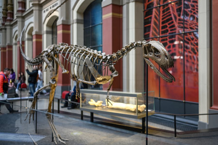 Belin, Germany - 20 December 2022: Main hall of Berlin museum of natural with skeletons of dinosaurs. Exhibition on prehistoric bones on dinosaurs.のeditorial素材