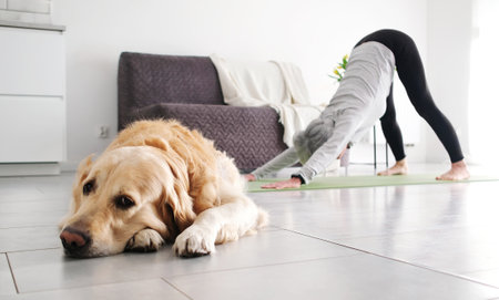 An Elderly Woman Doing A Downward Facing Yoga Pose At Home, While Her Golden Retriever Dog Lies On...