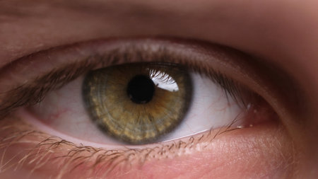 Close-Up Shot Of A ChildS Wide-Open Green Eyeの写真素材
