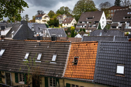 View on a Slate Roofs in a Traditional German Slope roofs