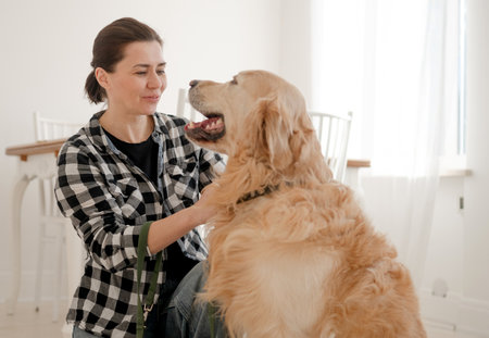 Cute Girl Petting An Adorable Golden Retriever In A Bright Roomの写真素材