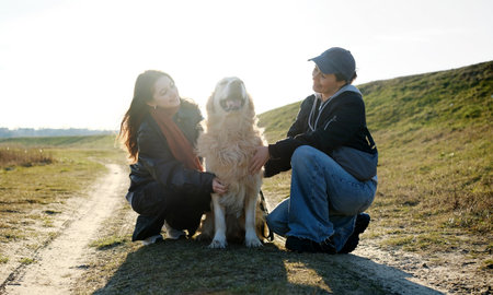 Girls Petting Adorable Golden Retriever Dog While Walking Outdoors At Sunsetの写真素材