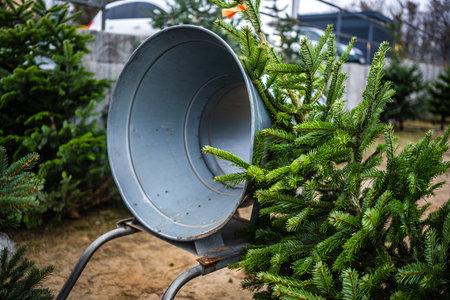 Christmas Tree Wrapping Machine And On Christmas Tree Marketの写真素材
