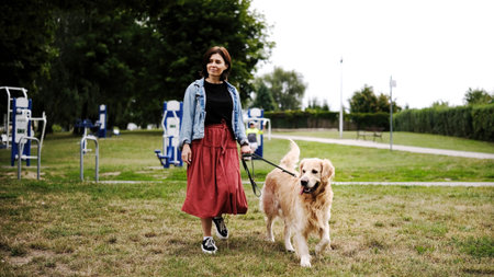Girl Walks With A Golden Retriever In The Summer Parkの写真素材