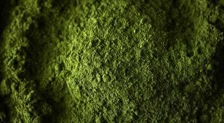 Matcha green tea powder top viewの写真素材