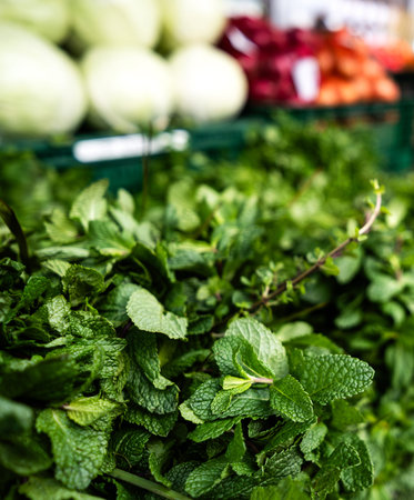 Vibrant Green Mint Leaves In Bunches At The Outdoor Street Marketの写真素材