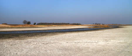 Salt marsh natural reserve Slano kopovo in Serbia