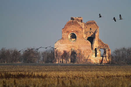 The ruins of the Benedictine monastery of Araca. It is protected by law as a national cultural heritageの写真素材