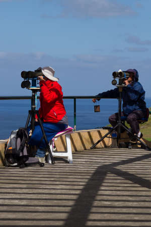 Two professional whale watchers, Sao Miguel Azoresの写真素材