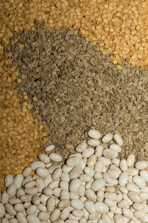 Various seed pattern as background been anad grassの写真素材