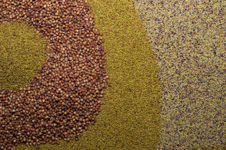 Various seed ,  alfalfa, grass, millet, vetch as backgroundの写真素材