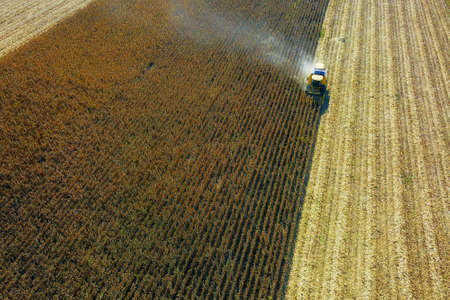 Aerial view of yellow combine on corn field