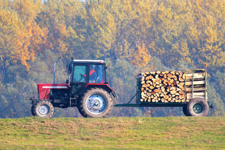 Wood industry, transporting trunk with red tractorの写真素材