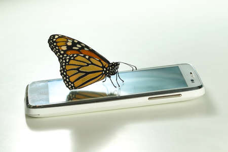 Monarch Butterfly Danaus plexippus on the cell phone ecological energy conceptの写真素材