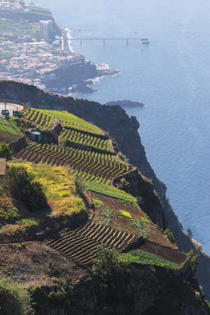 Cabo Girao Skywalk the highest cliff  in Europe, Madeira islandの写真素材
