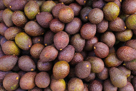 A bunch of fresh avocados on the market