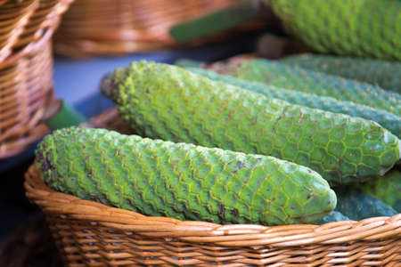Fresh Philodendron fruit in basket on Funchail market