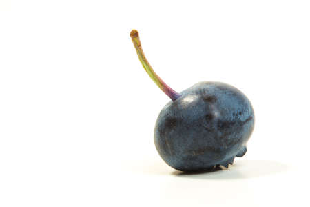Fresh raw blueberry with peduncle isolated on whiteの写真素材