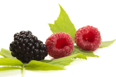Two fresh ripe raspberries and blackberry on white