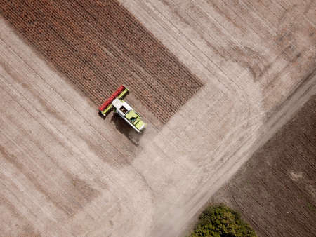 Top view of Combine harvesting genetically modified soya bean