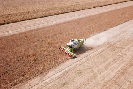 Green and white Combine harvest soya bean on the field