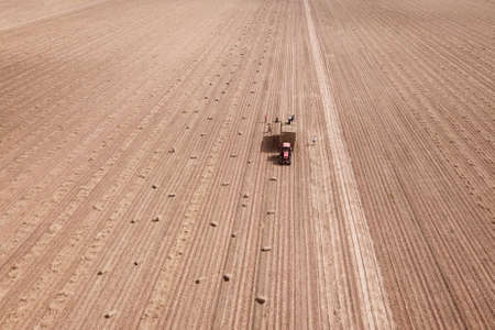 Top view of red Tractor and  workers baling and collecting hayの写真素材