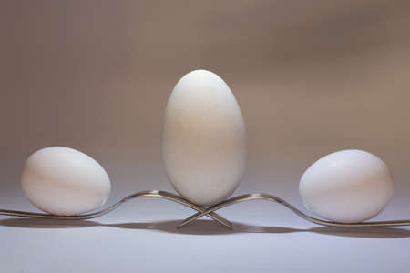 Balance three eggs on two forksの写真素材