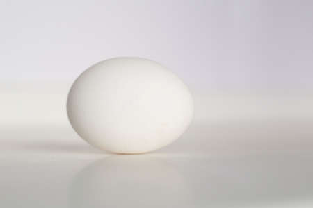 One Egg on a white background