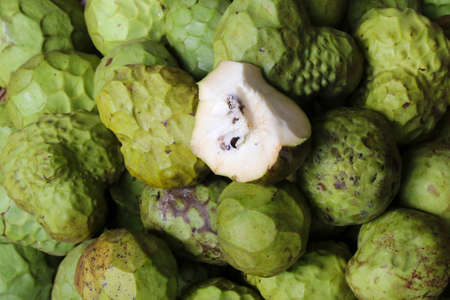 Cherimoya, Annona cherimola fruit, Annona muricataの写真素材