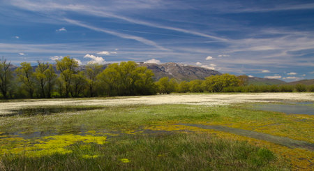 Spring landscape of the words largest regularly flooded karst livno poljeの写真素材