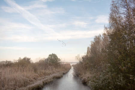 Late autumn and the icy river. Migratory birds in the sky, grasses, and leaves of the tree are...