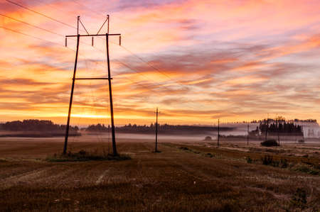 Field and power lines, sunrise and fog.の写真素材