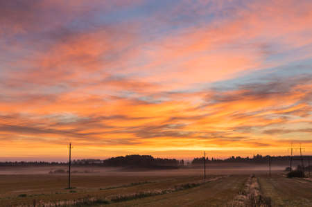 Sunrise and power lines early morning in autumn.の写真素材