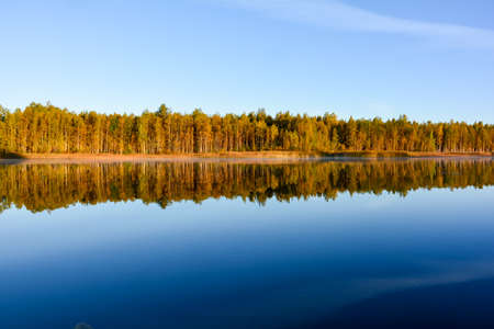 Trees are mirroring from water surface.の写真素材