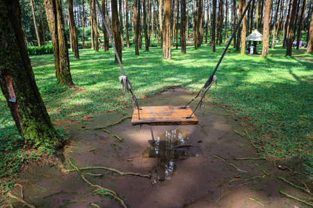 Wooden swing in the public park at Chiang Mai, Thailandの写真素材