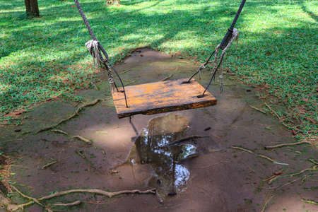 Wooden swing in the park on the ground with green grass.