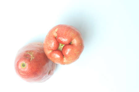 Red apples isolated on white background. Top view. Flat lay.の写真素材