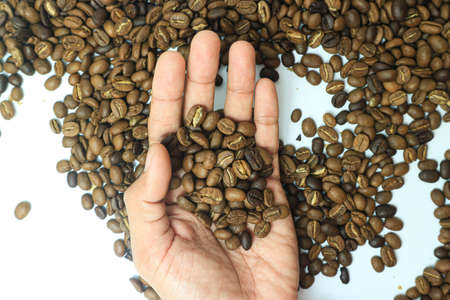 Coffee beans in hand on white background. Close up.の写真素材