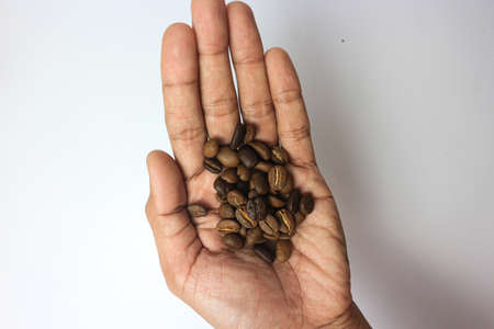 Coffee beans in hand isolated on white background. Roasted coffee beans.の写真素材