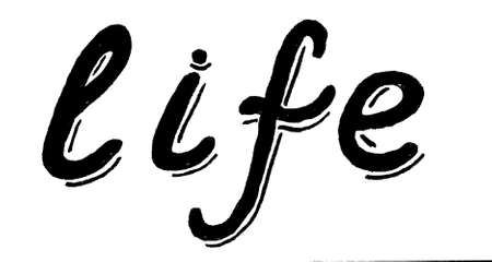 Life. Modern calligraphy. Brush painted letters, hand-drawn lettering illustration template. Poster with hand drawn brush lettering "life" on white background.の写真素材