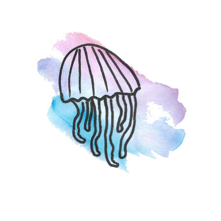 Watercolor pink jellyfish on white background. Hand drawing.の写真素材