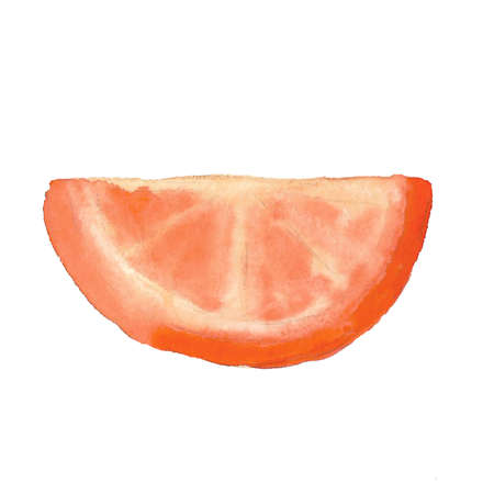 Slice of red orange or grapefruit. Watercolor tropical fruit isolated. Exotic object, single drawing, icon. Summer design print for decoration. Fresh sweet graphic hand drawn citrus. Fruit macroの写真素材