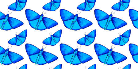 hand draw blue butterfly seamless pattern