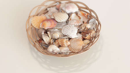 High angle, panoramic view of starfish and shells, isolated on white background, selective focus,...