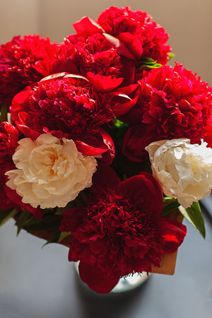 Bouquet of fresh blooming peonies in a vase on the table.の写真素材