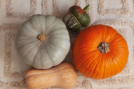 Different types of pumpkins on a textile beige cozy background. Autumn mood, Halloweenの写真素材