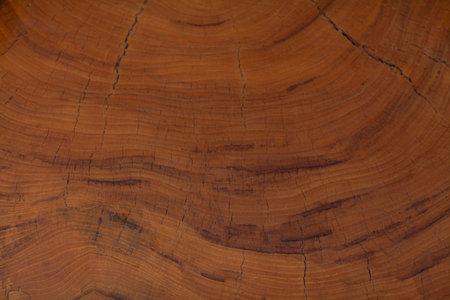 Processed collage of old rustic dark brown wood planks texture. Background for banner, backdrop or...